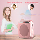 portable teacher voice amplifier with microphone